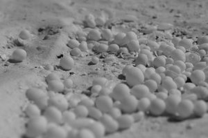 Coral Pebbles on the Sand