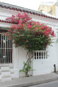 Cartagena - Old Town 8