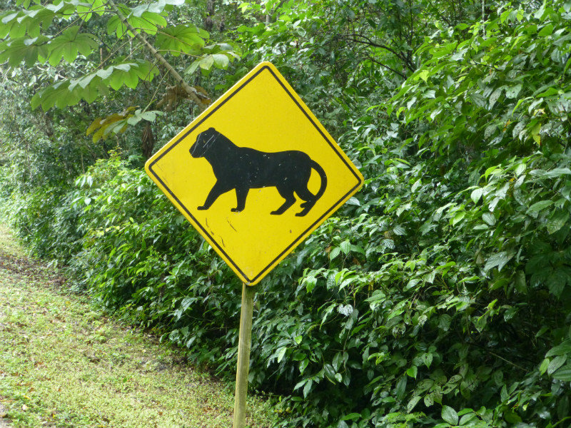 Beware of Panthers