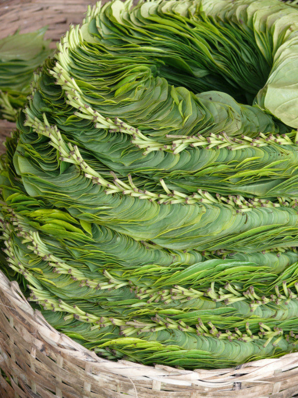 leaves for wrapping betel nut