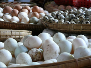 eggs at the market