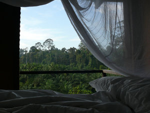 View from our bed