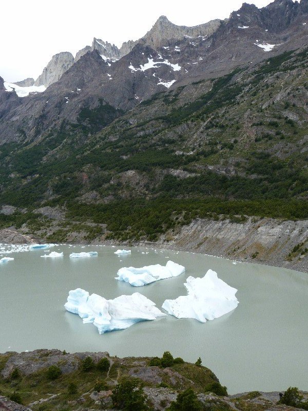 Icebergs, Lago Grey