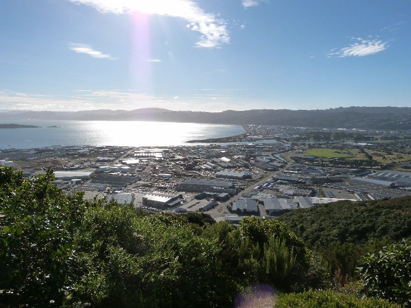 View nr Wellington