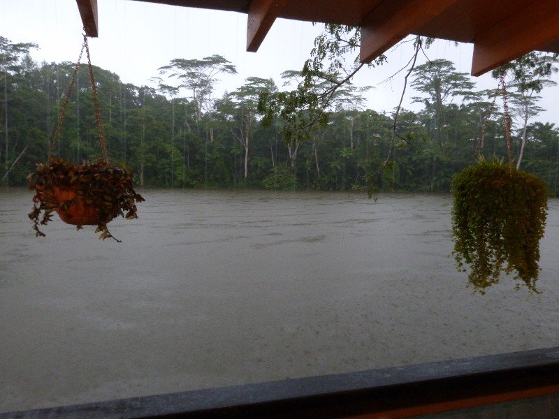 Rain at the Raintree Lodge, Suva