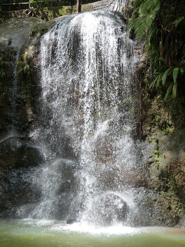 Jungle waterfall,  Colo-i-Suva forest park