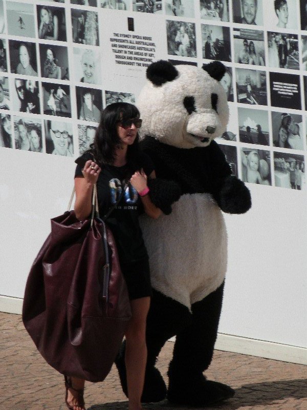 Woman and Panda