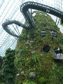 Cloudforest Dome