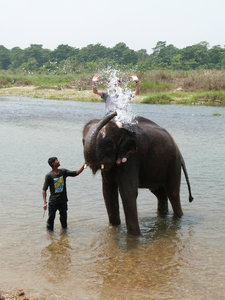 Washing the elephants (and me...)