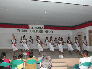 Tharu dance show