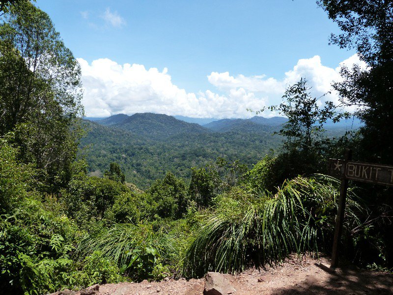 View from Bukit Teresik