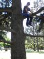 Joe up in the tree