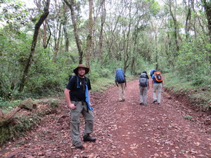Day 1: Tyson on the Kili trail