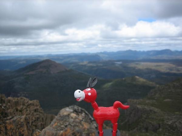 Top of Cradle Mountain