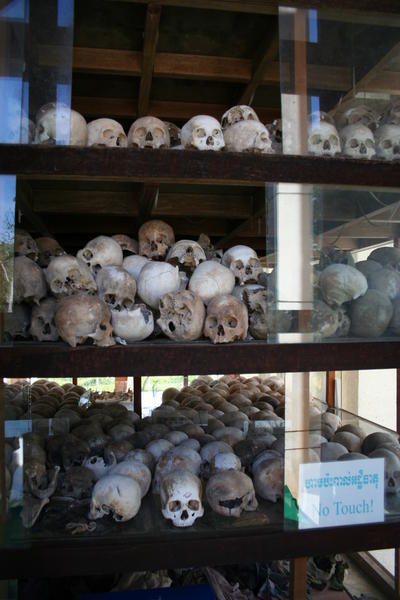 nearly 9000 skulls