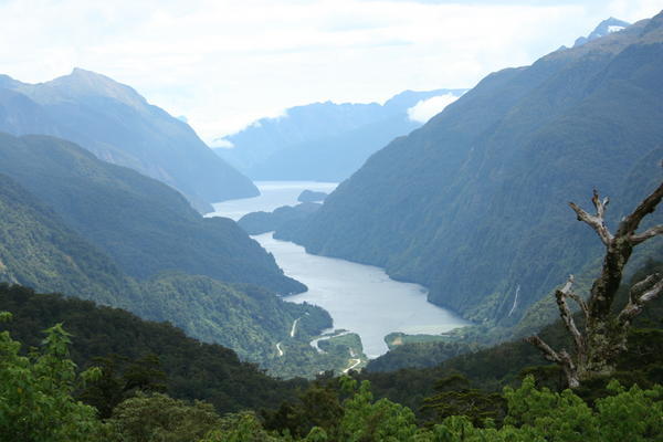 Doubtful sound in the distance