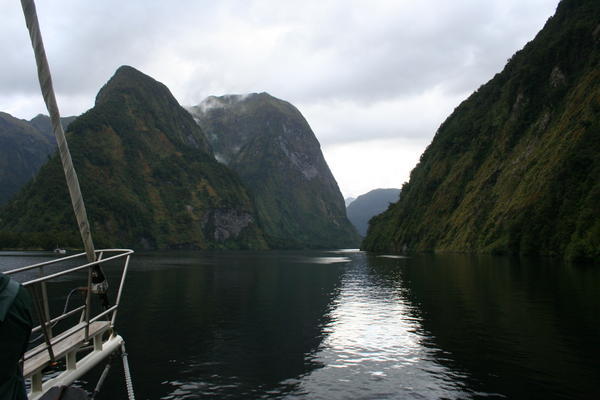 more fiordland scenery