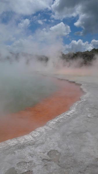 thermal springs Rotorua