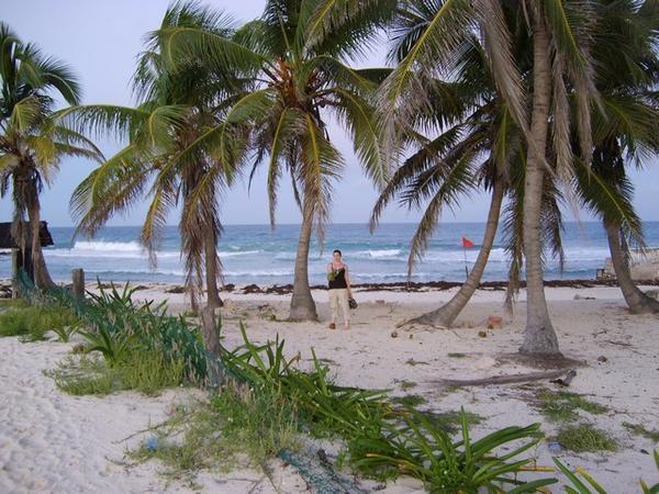 coconuts on playa norte