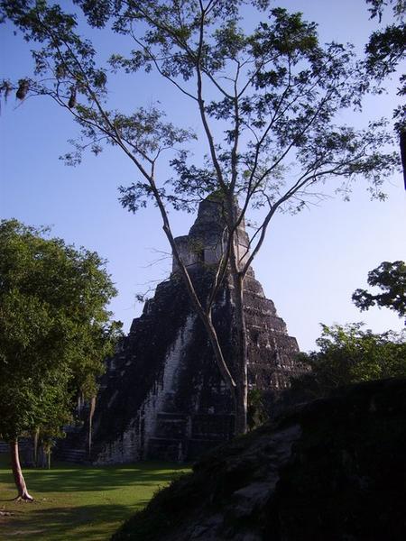 Tikal Plaza 3