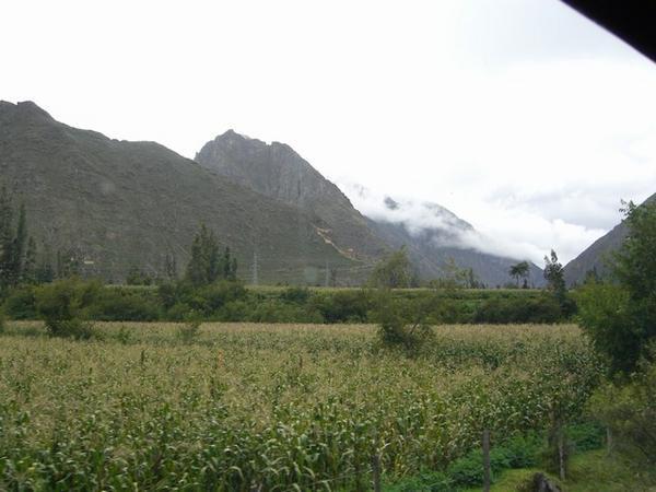 train through the Sacred Valley 1