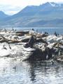 views of the beagle channel 5
