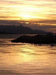 views of the beagle channel 13