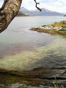 The crystal clear waters of the beagle channel