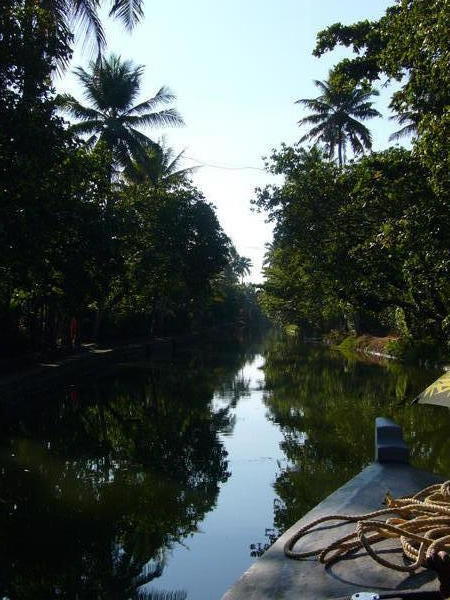 The Backwaters