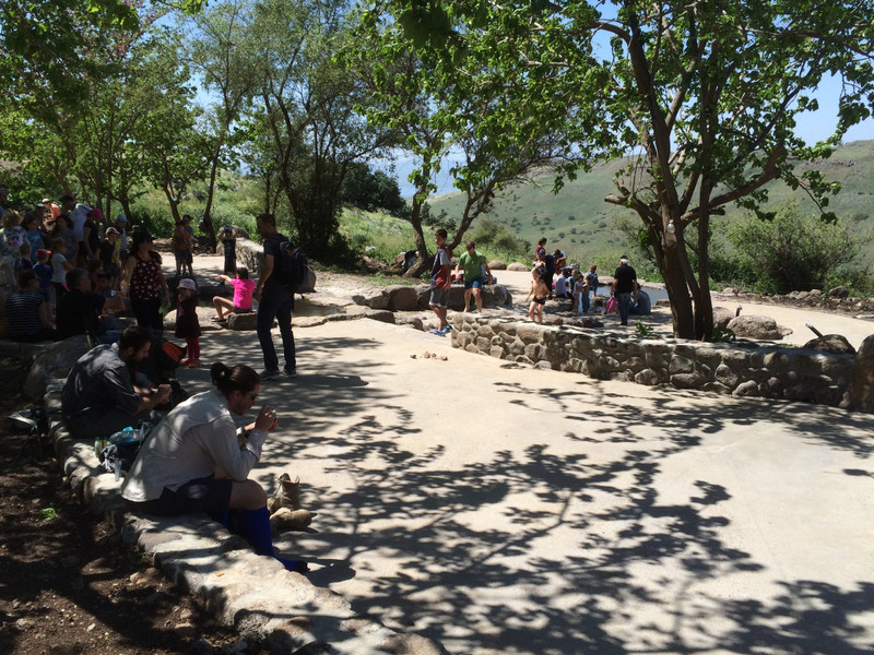 Picnic area by Ein Keshatot spring