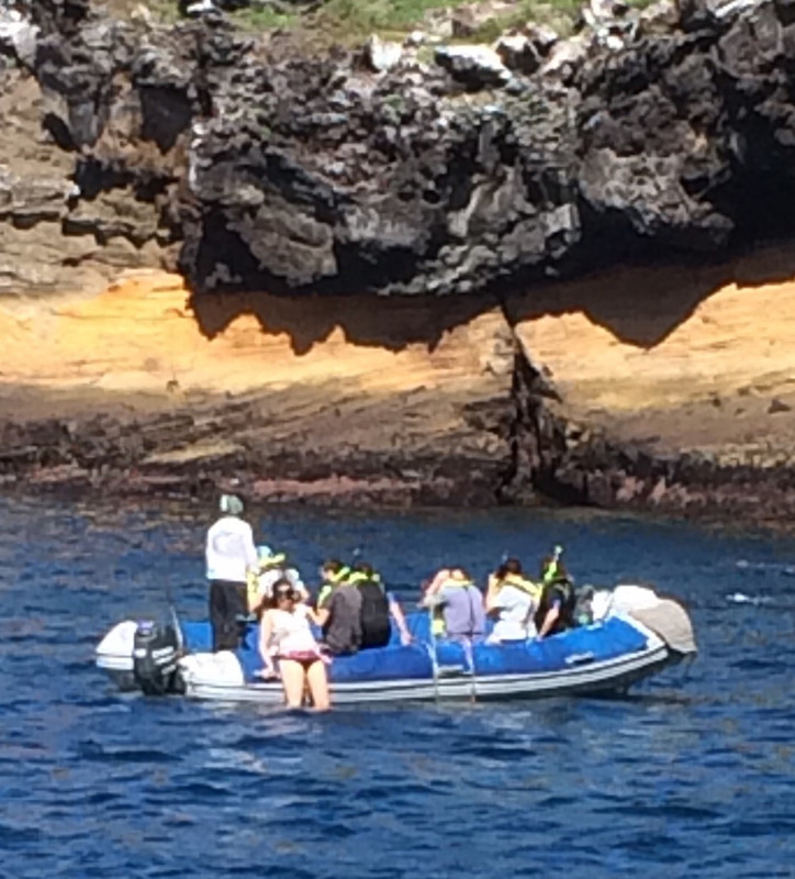 Caroline slips in to snorkle by Vicente Roca Point off Isabela Island