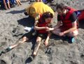 Caroline examines what Max found on volcanic Urbina beach