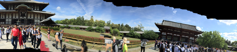 partial panorama of Todai-ji temple complex