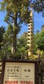 Asoka pillar by Todai-ji