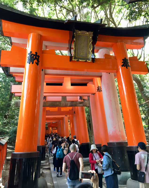 1000 Tori gates at Fushimi Inari shrine