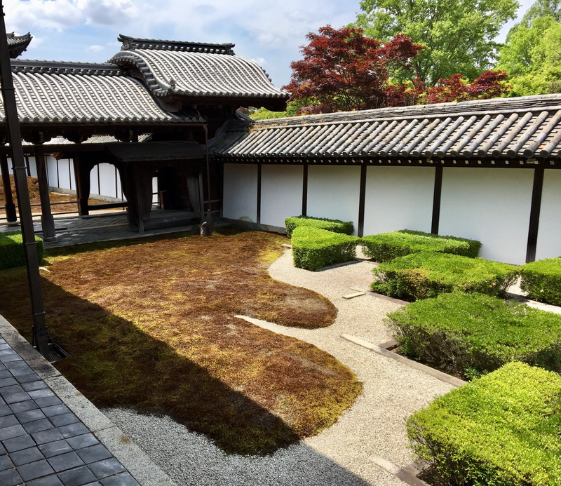Zen garden of Moss land divisions