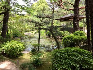 tranquil pond at Heian-jinju 