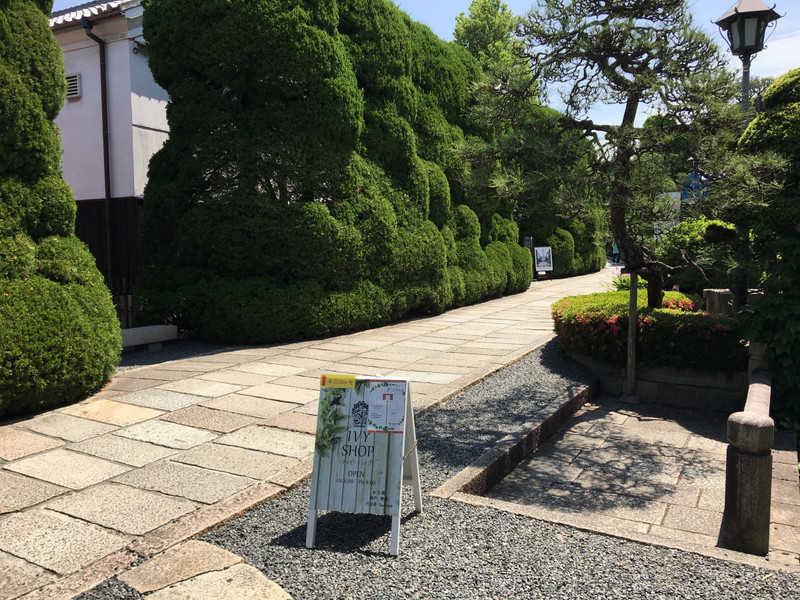 Ivy Garden in Kurashiki