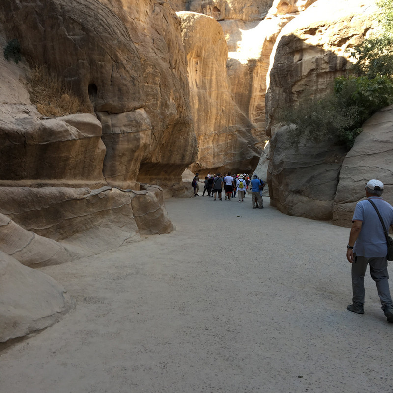 Siq - the narrow passage into Petra