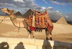Camel humps between Pyramid bumps