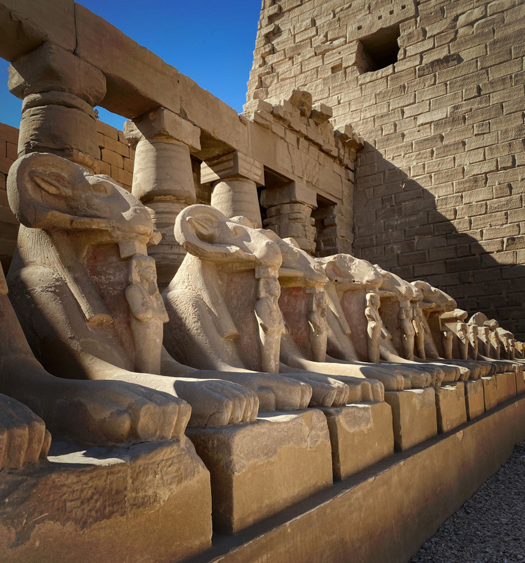 Karnak Temple ram heads