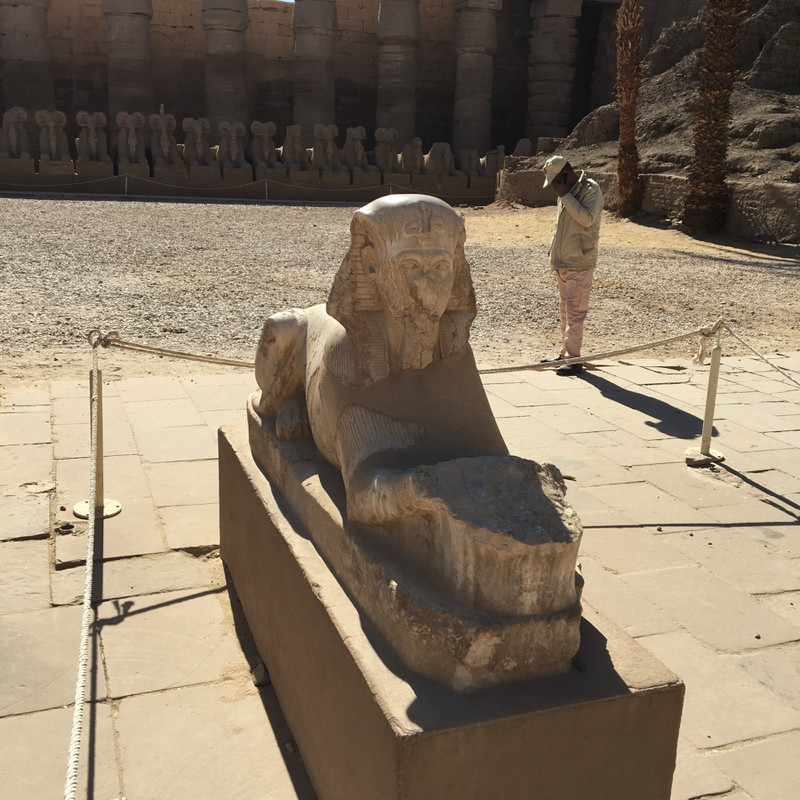 Karnak Temple sphinx