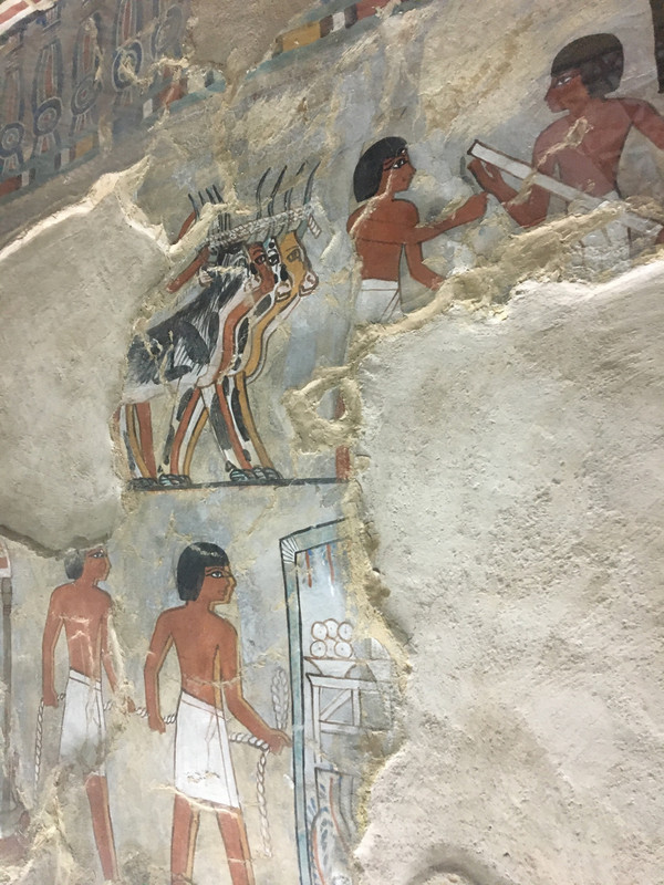 Art in Tomb 96