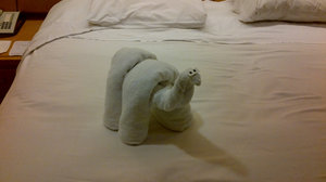 Towelasaurus in our Stateroom
