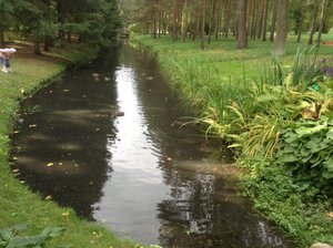 streams in the gardens
