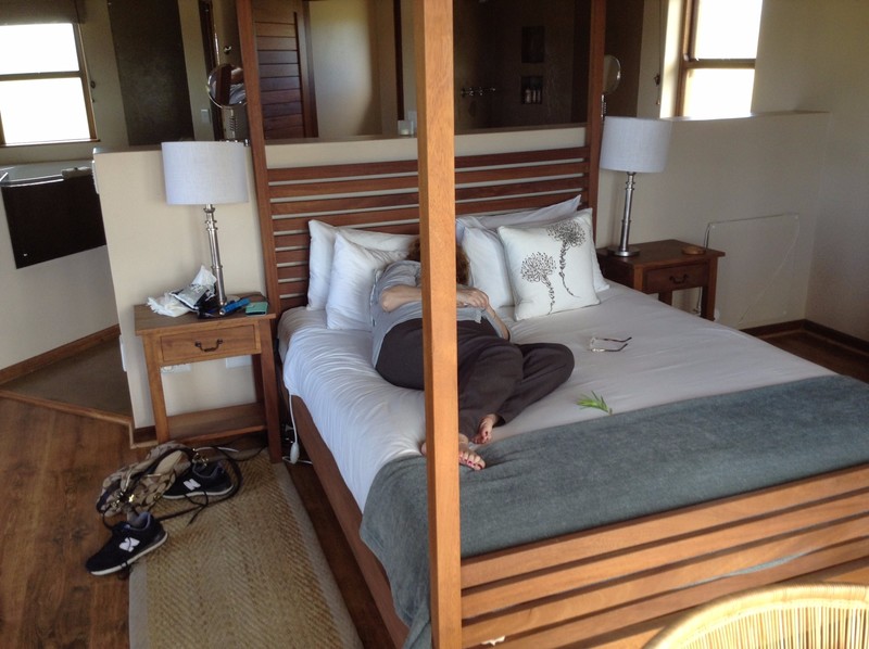 a very full Day 4 ends in our Gondwana villa bedroom