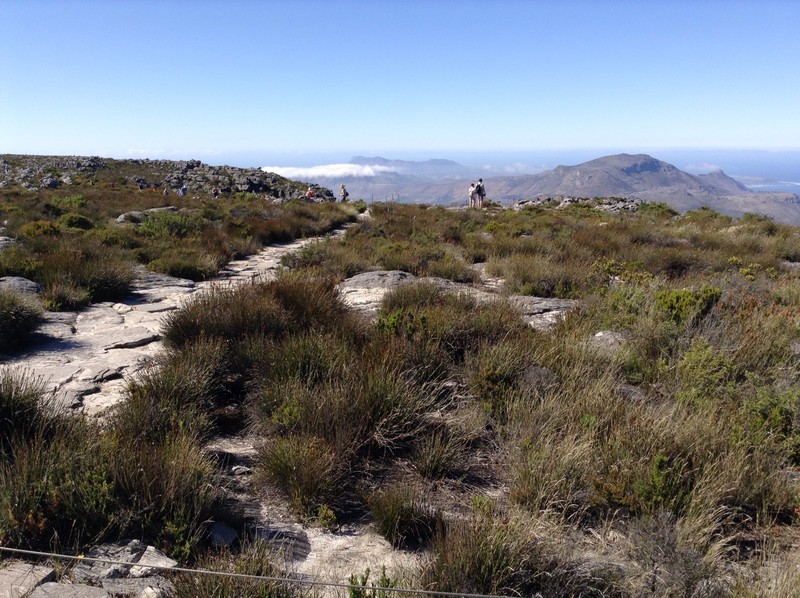 Pathways atop Table Mountain
