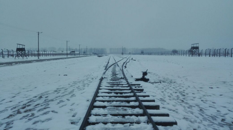 Stark tracks in Birkenau