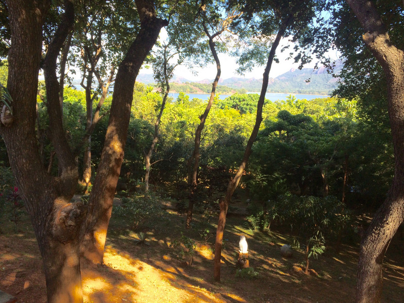 scene from Lake Lodge by Sigiriya