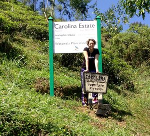 Caroline's Tea Plantation